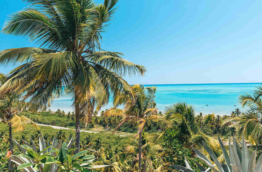 praia de Japaratinga, uma das praias paradisíacas no Brasil